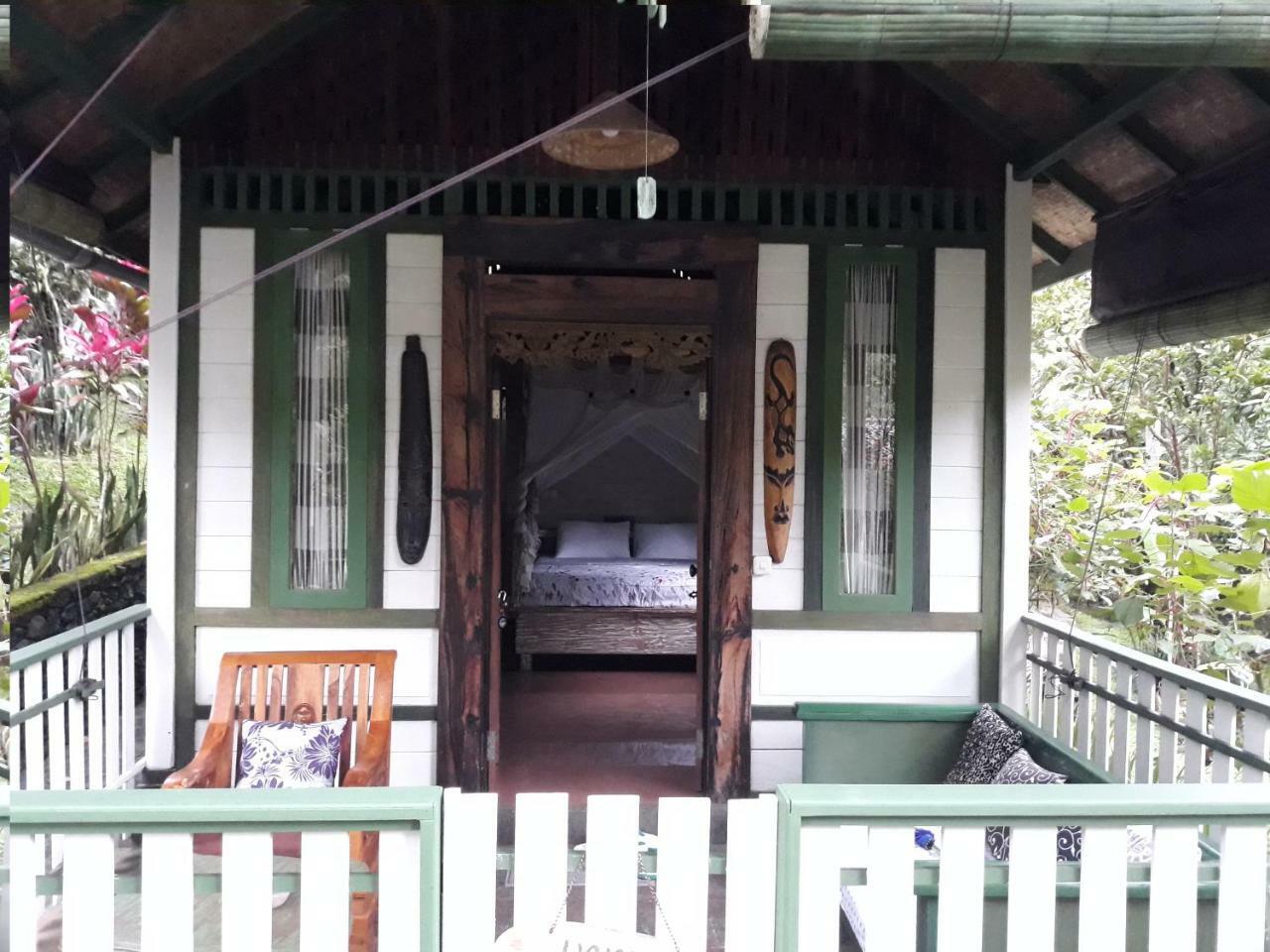 מלון בניוואנגי Mi Casa - The Gem Of Ijen מראה חיצוני תמונה
